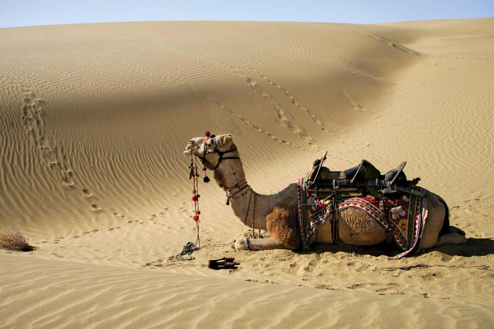 Sam Dunes Desert Luxury Camp & Resort Jaisalmer Extérieur photo